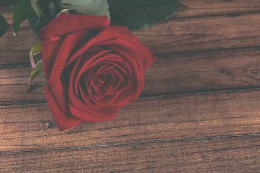 Kırmızı bir ahşap zemin, su üzerine gül yaprakları üzerinde bırakır. Renkli güzel çiçek tebrik kartları için sanatsal görüntüsü. Saint Valentine arka plan kırmızı gül ile bayram