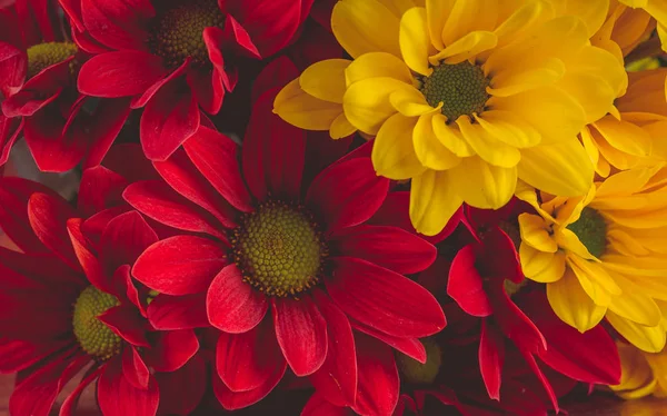 Still life of red and yellow flowers