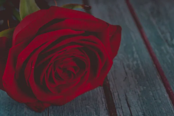 赤いバラ写真素材 ロイヤリティフリー赤いバラ画像 Depositphotos