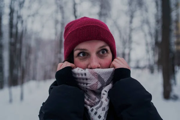 Menina Tem Resto Nos Bosques Inverno Jovem Mulher Caminhando Pela — Fotografia de Stock