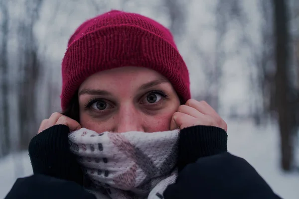 Menina Tem Resto Nos Bosques Inverno Jovem Mulher Caminhando Pela — Fotografia de Stock