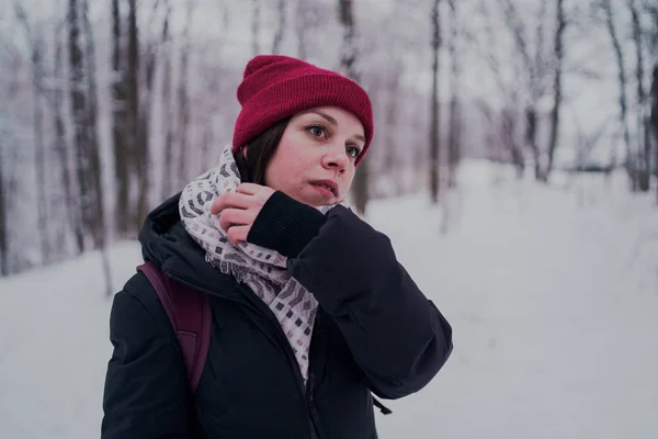 Menina Tem Resto Nos Bosques Inverno Jovem Mulher Caminhando Pela — Fotografia de Stock