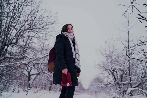 Dziewczyna Sobie Przerwę Zimowym Lesie Młoda Kobieta Chodzenie Śniegu Zimie — Zdjęcie stockowe