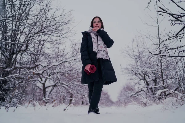 Menina Tem Resto Nos Bosques Inverno Jovem Mulher Caminhando Pela — Fotografia de Stock