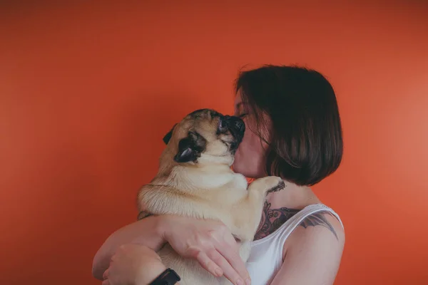 Beautiful girl with tattoo holding cute pug puppy on her hands, on orange background. The concept of friendship between man and dog.