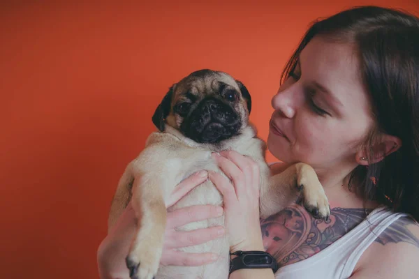 Beautiful girl with tattoo holding cute pug puppy on her hands, on orange background. The concept of friendship between man and dog.