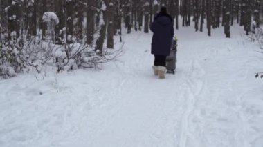 Anne oğluyla kışın güzel güneşli parkta yürüyüş bebek arabası