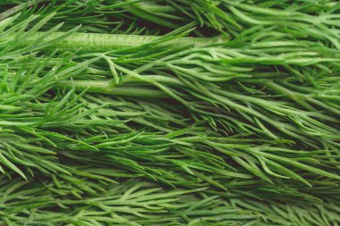 doku makro yeşil dereotu faydalı bir bitkidir