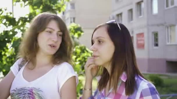 Duas Mulheres Estão Caminhando Verão — Vídeo de Stock