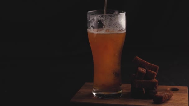 Cerveja Fundo Preto — Vídeo de Stock