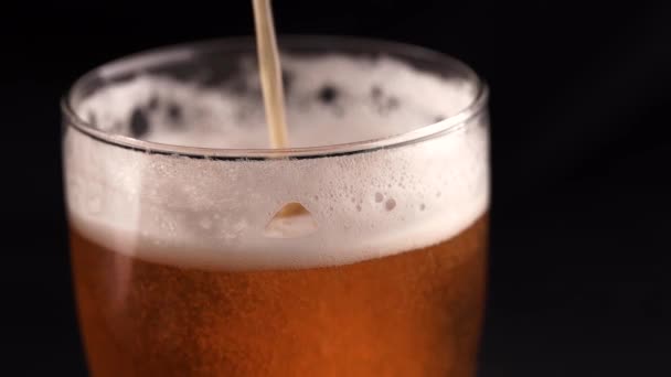 Glass Beer Black Background — Stock Video