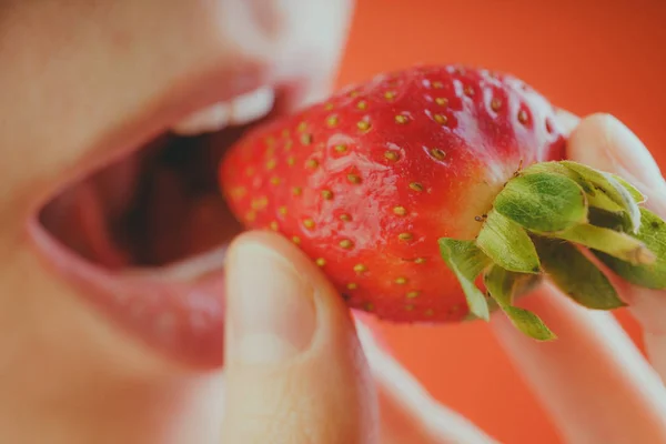 Hembra comiendo fresas frescas, de cerca. Fresas rojas en una mano de mujer. Concepto: Fruta-la clave para una dieta saludable y figura delgada . —  Fotos de Stock