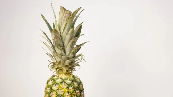 Ananas Isoliert Auf Weißem Hintergrund Raum Für Text — Stockfoto