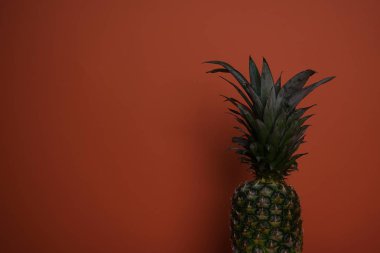 Ananas Meyve Portakal arka plan üzerinde. Olgun ananas, ayrı tut.