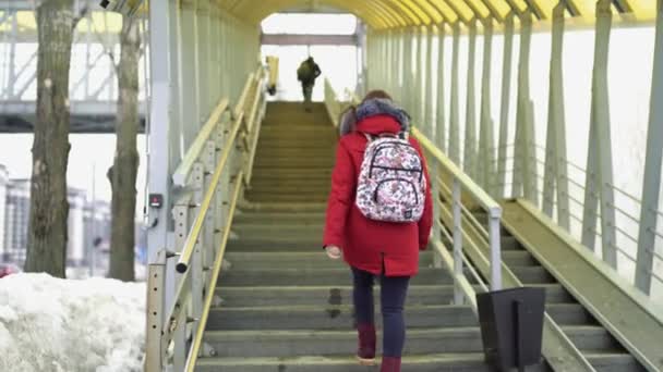 Mujer Que Cruza Carretera Ciudad Día Invierno — Vídeos de Stock