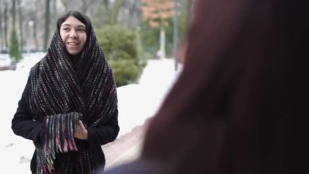 Kışın Sokakta Konuşan Iki Güzel Kadın — Stok video