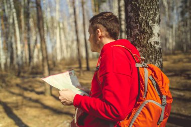 Harita woodsside görünümünde bir adam olan adam uzakta güneşli ormandaki ağaçlar arasında seyir harita okuma sırt çantası ile seyahat