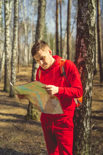 Traveling man with map in woods.Side view of man with backpack reading map looking away among trees in sunny forest. A man lost in the woods