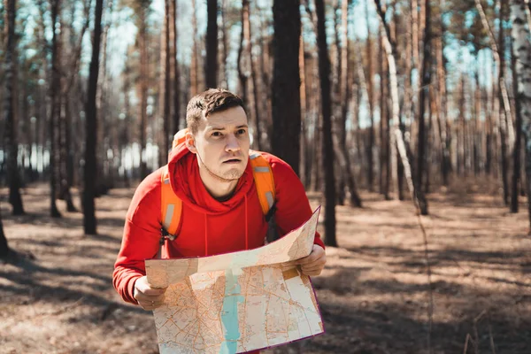 Traveling man with map in woods.Side view of man with backpack reading map looking away among trees in sunny forest. A man lost in the woods