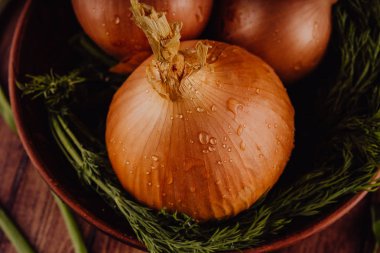 Kasede soğan ve dereotu soğanı. Masaya seramik kaseye yerleştirilen çiğ soğan ve taze yeşil dereotu büyük bütün ampuller
