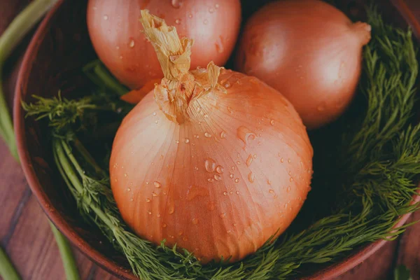 Bulbs of onion and dill in bowl. Big whole bulbs of raw onion and fresh green dill placed in ceramic bowl on table