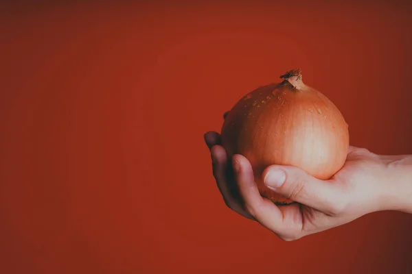 Soğanın Çiğ Soğanını Gösteren Kişi Kırpma Kırmızı Arka Plan Üzerinde — Stok fotoğraf