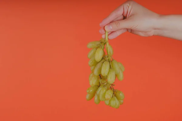 배경에 포도의 무리를 보여주는 무리를 — 스톡 사진