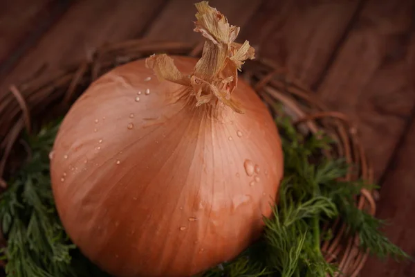 Bulbs of onion and dill in bowl. Big whole bulbs of raw onion and fresh green dill placed in ceramic bowl on table