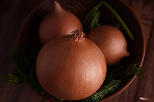 Bulbs of onion and dill in bowl. Big whole bulbs of raw onion and fresh green dill placed in ceramic bowl on table