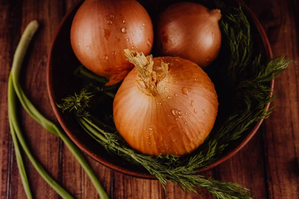 Bulbs of onion and dill in bowl. Big whole bulbs of raw onion and fresh green dill placed in ceramic bowl on table