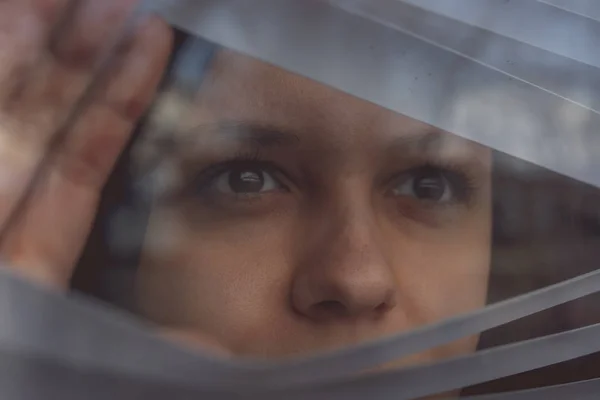 Een Jong Meisje Kijkt Uit Blinds — Stockfoto