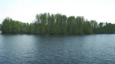 Güneşli bir günde yeşil ormanın arka planına karşı büyük bir göl.