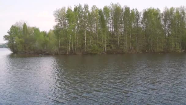Крупное Озеро Солнечный День Фоне Зеленого Леса — стоковое видео