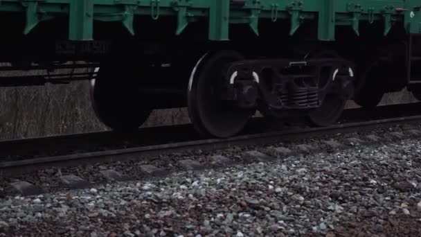 Plataforma Ferroviaria Cargo Con Tren Mercancías — Vídeo de stock