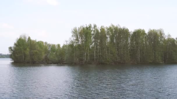 Stor Sjö Solig Dag Mot Bakgrund Grön Skog — Stockvideo