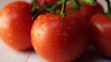 Beyaz ahşap arka planda kırmızı domates. Yukarıdan manzara. Yıkanmış sebzeler su damlaları ile bir dal üzerinde. Çiğ gıdalar kavramı. Sağlıklı gıda.