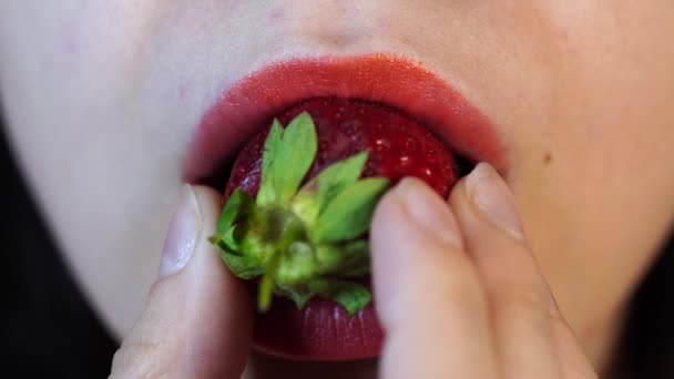 Mulher comendo morangos frescos, close-up. Morangos vermelhos na mão de uma mulher. Conceito: Fruta a chave para uma dieta saudável e figura fina . — Vídeo de Stock