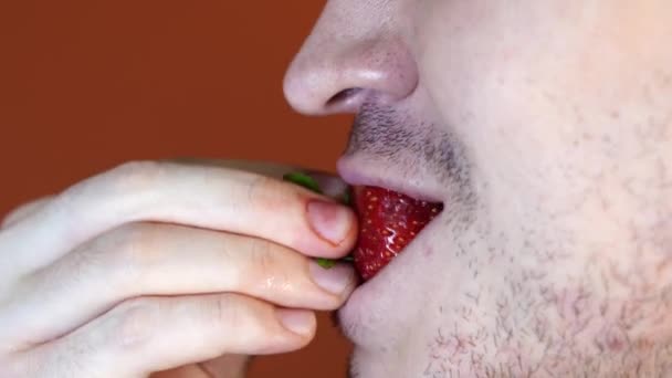 Homem comendo morangos frescos, close-up. Morangos vermelhos na mão de um homem. Conceito: Fruta a chave para uma dieta saudável e figura fina . — Vídeo de Stock