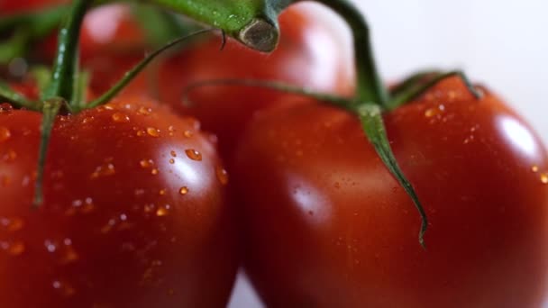 白い木製の背景に赤いトマト。上からの眺め。水滴で枝に野菜を洗った。生の食べ物の概念。健康食品. — ストック動画