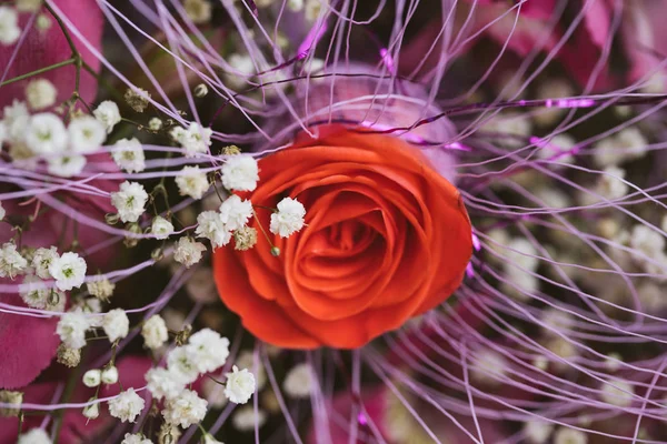 Se levantó la imagen de primer plano del Día de San Valentín. Captura de estudio . — Foto de Stock