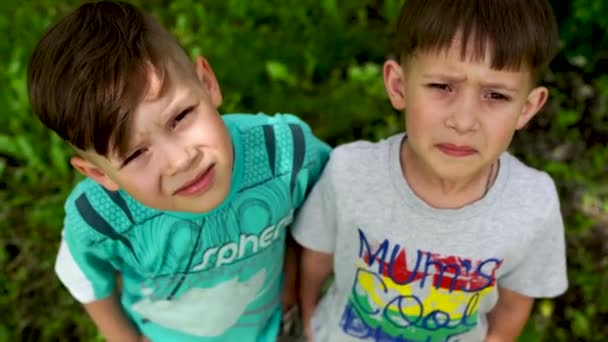 Meninos sérios em roupas coloridas em vegetação brilhante. De cima adorável bonito crianças com vestido de cabelo elegante de pé em verde brilhante no jardim — Vídeo de Stock