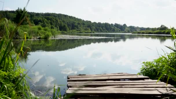 Lago en un día claro de verano contra el bosque, con un muelle en primer plano — Vídeos de Stock