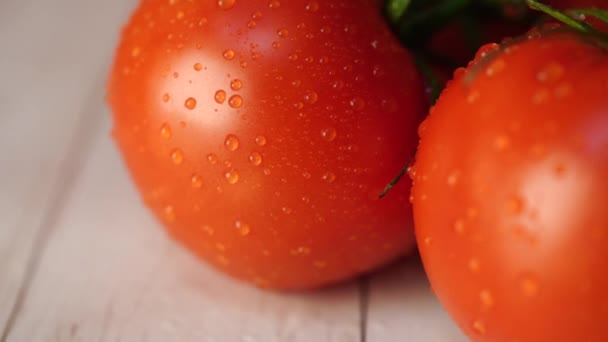 Tomates maduros con gotas de agua en la mesa. Apetitivos tomates rojos maduros con tallos verdes y gotas de agua sobre fondo de madera — Vídeos de Stock