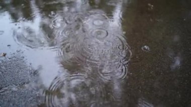 Asfaltta sağanak yağmur damlaları. Yağmur yağıyor. Yağmurdan kabarcıklar