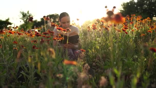 Mujer leyendo un libro en un campo verde, entre la hierba y las flores — Vídeo de stock