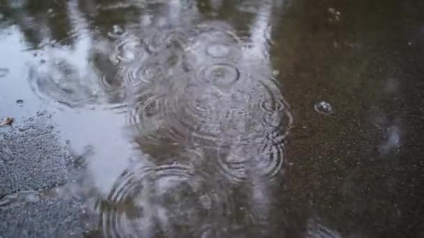 Gotas de lluvia fuerte sobre asfalto. está lloviendo. Burbujas de la lluvia — Vídeo de stock