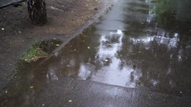 Asfaltta sağanak yağmur damlaları. Yağmur yağıyor. Yağmurdan kabarcıklar