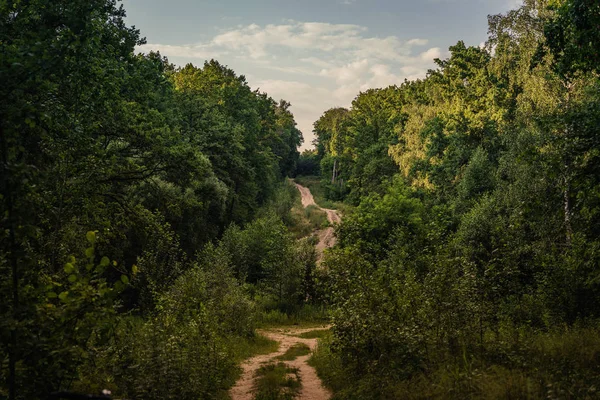 Smalle weg door groen bos. Smalle kronkelweg door groene struiken en bomen tegen bewolkte lucht op het platteland — Stockfoto