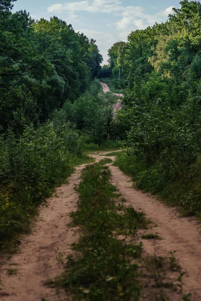 Smalle weg door groen bos. Smalle kronkelweg door groene struiken en bomen tegen bewolkte lucht op het platteland — Stockfoto