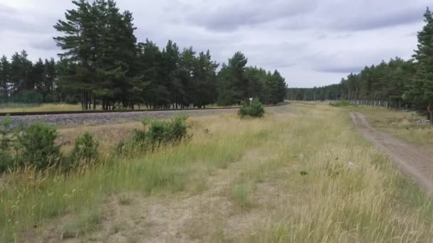 Залізнична дорога в оточенні зелених дерев в похмурий день — стокове відео